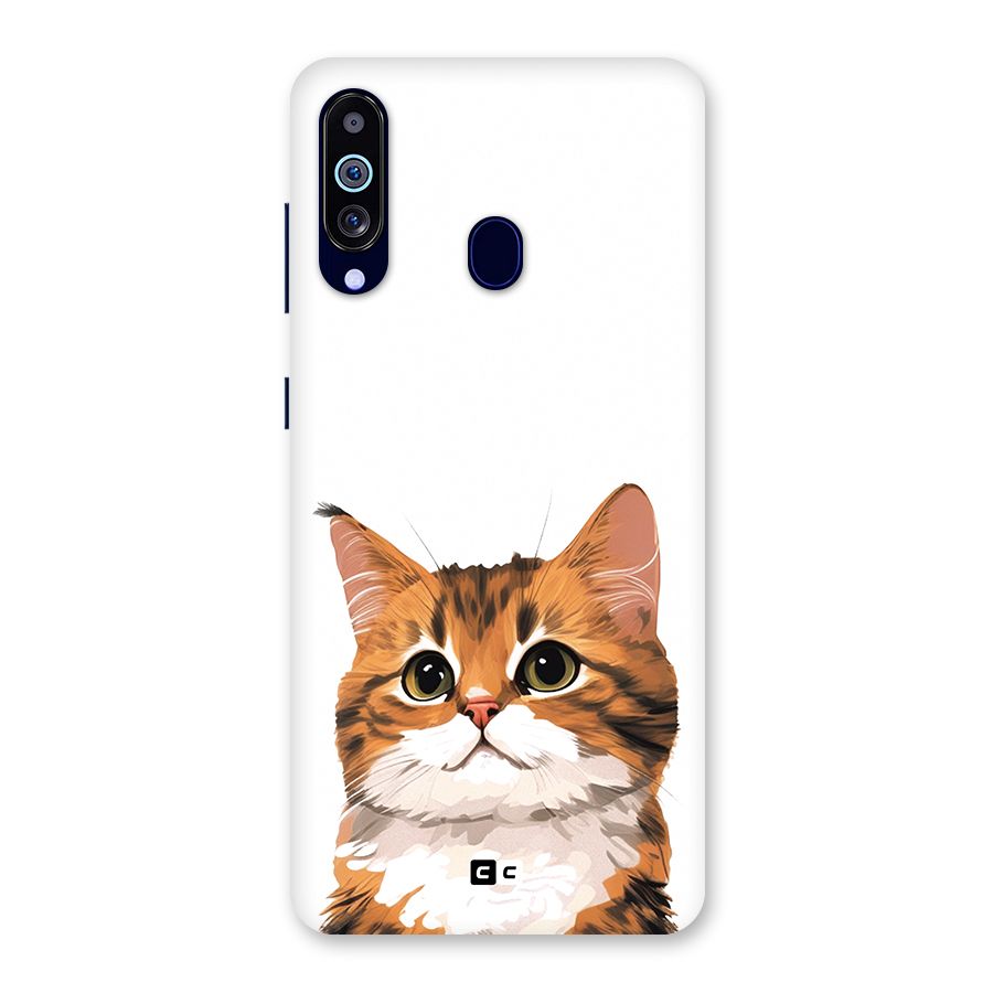 The Cute Cat Back Case for Galaxy M40