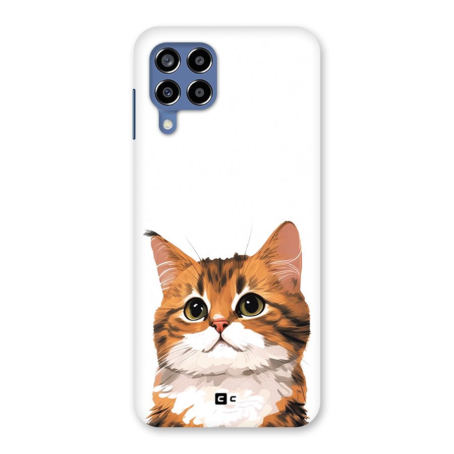 The Cute Cat Back Case for Galaxy M53 5G