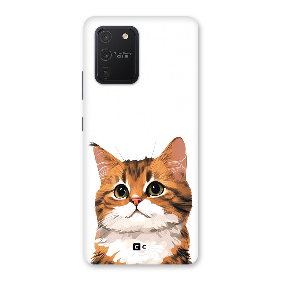 The Cute Cat Back Case for Galaxy S10 Lite