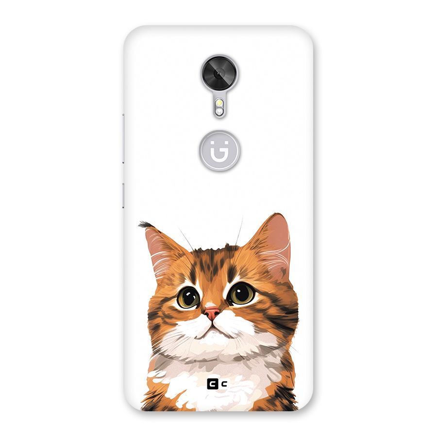The Cute Cat Back Case for Gionee A1