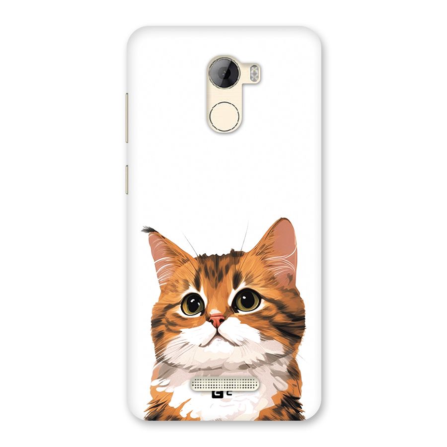 The Cute Cat Back Case for Gionee A1 LIte