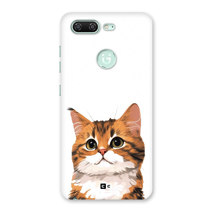 The Cute Cat Back Case for Gionee S10