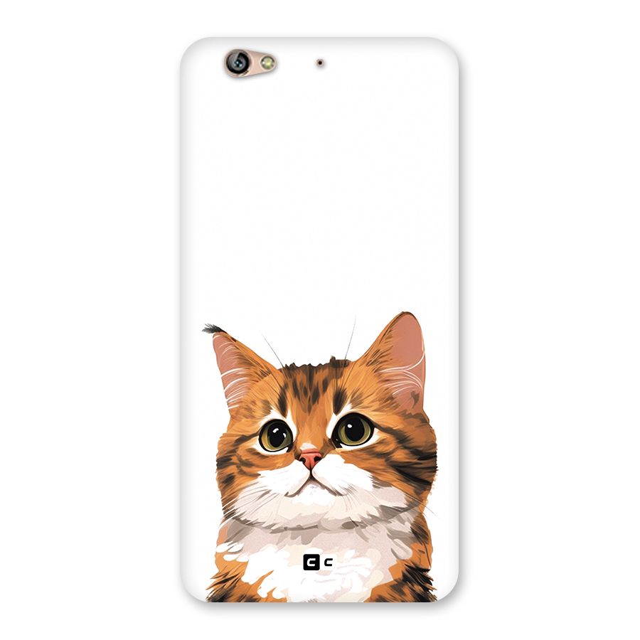 The Cute Cat Back Case for Gionee S6