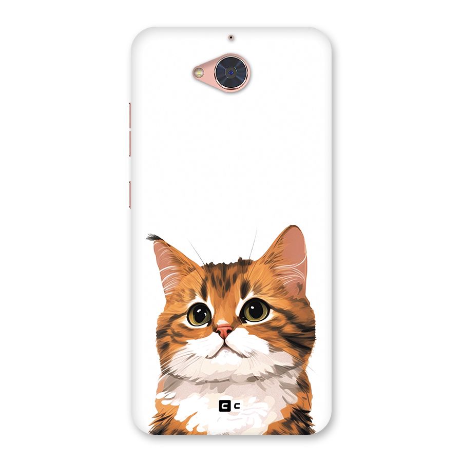 The Cute Cat Back Case for Gionee S6 Pro
