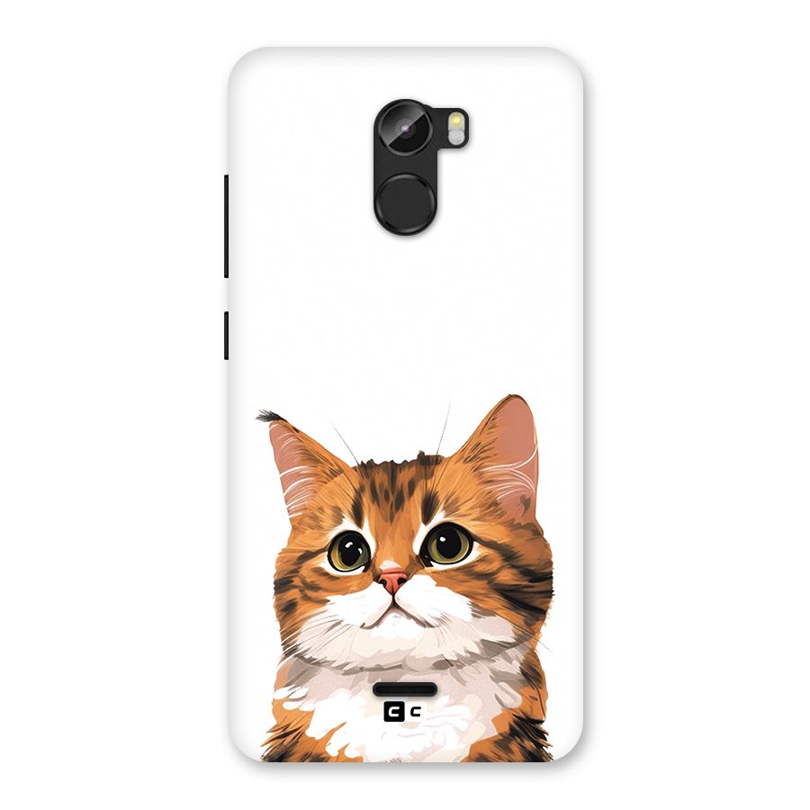 The Cute Cat Back Case for Gionee X1