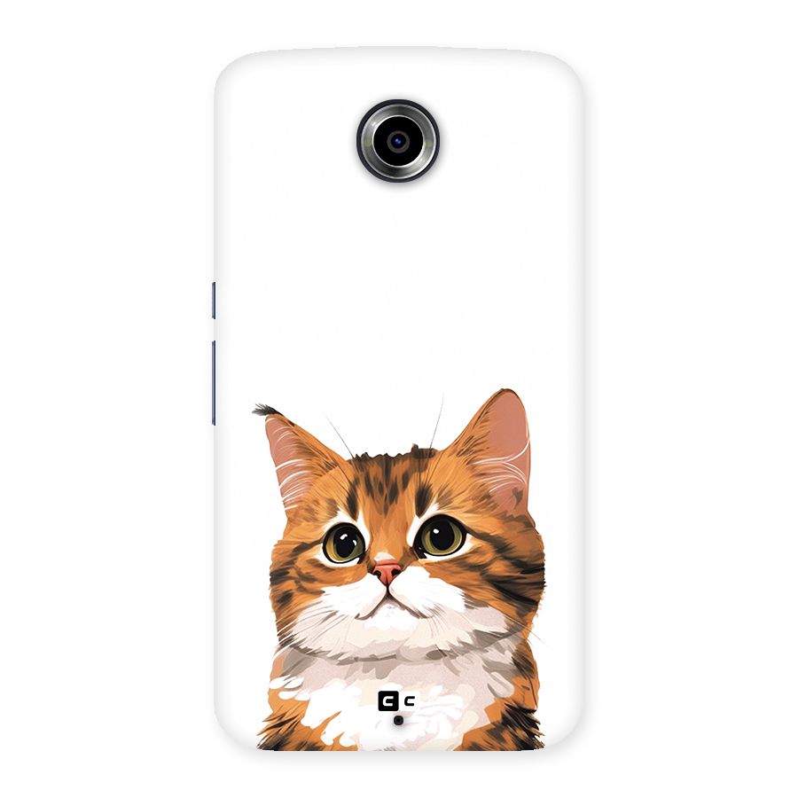 The Cute Cat Back Case for Google Nexus 6