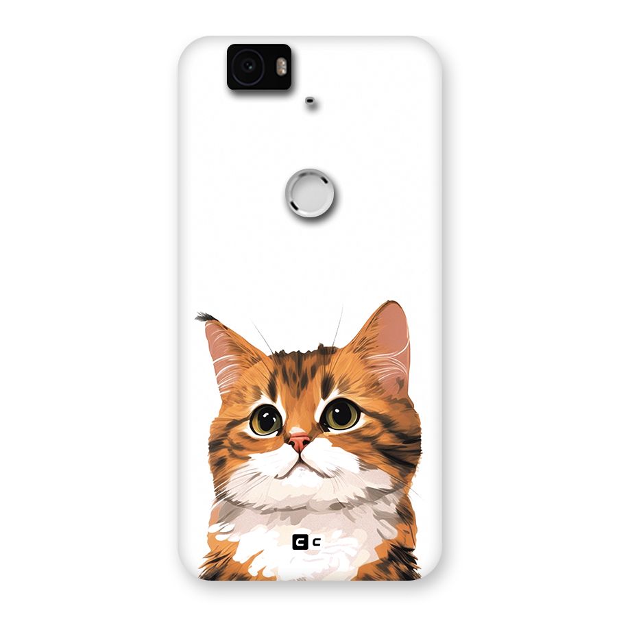 The Cute Cat Back Case for Google Nexus 6P