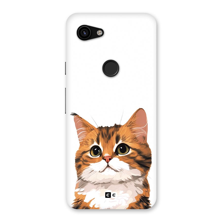 The Cute Cat Back Case for Google Pixel 3a