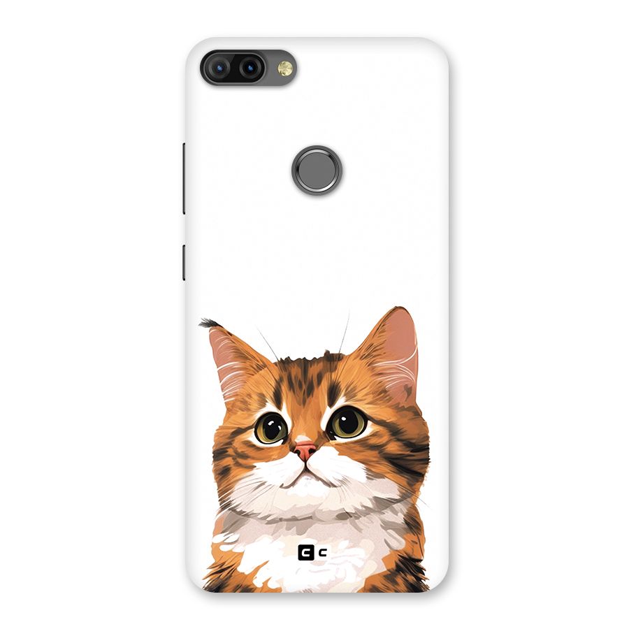 The Cute Cat Back Case for Infinix Hot 6 Pro