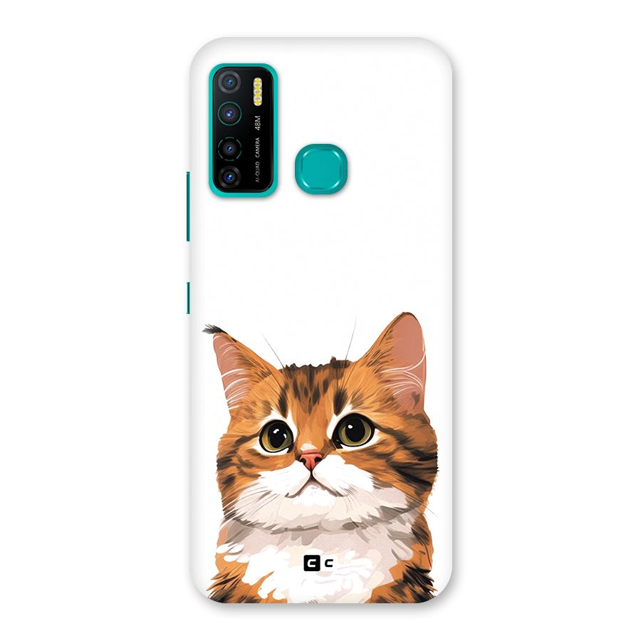 The Cute Cat Back Case for Infinix Hot 9 Pro
