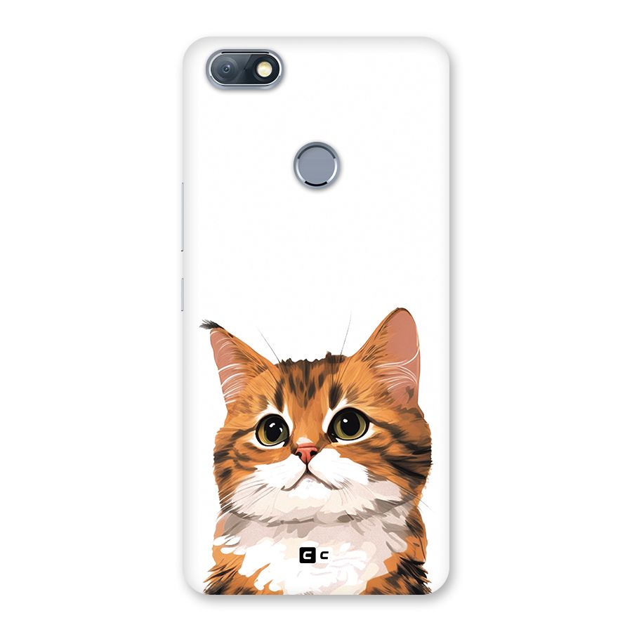 The Cute Cat Back Case for Infinix Note 5