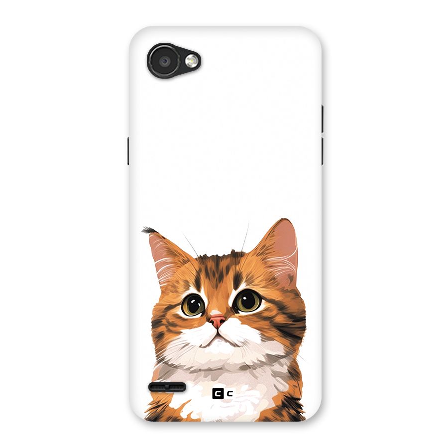 The Cute Cat Back Case for LG Q6