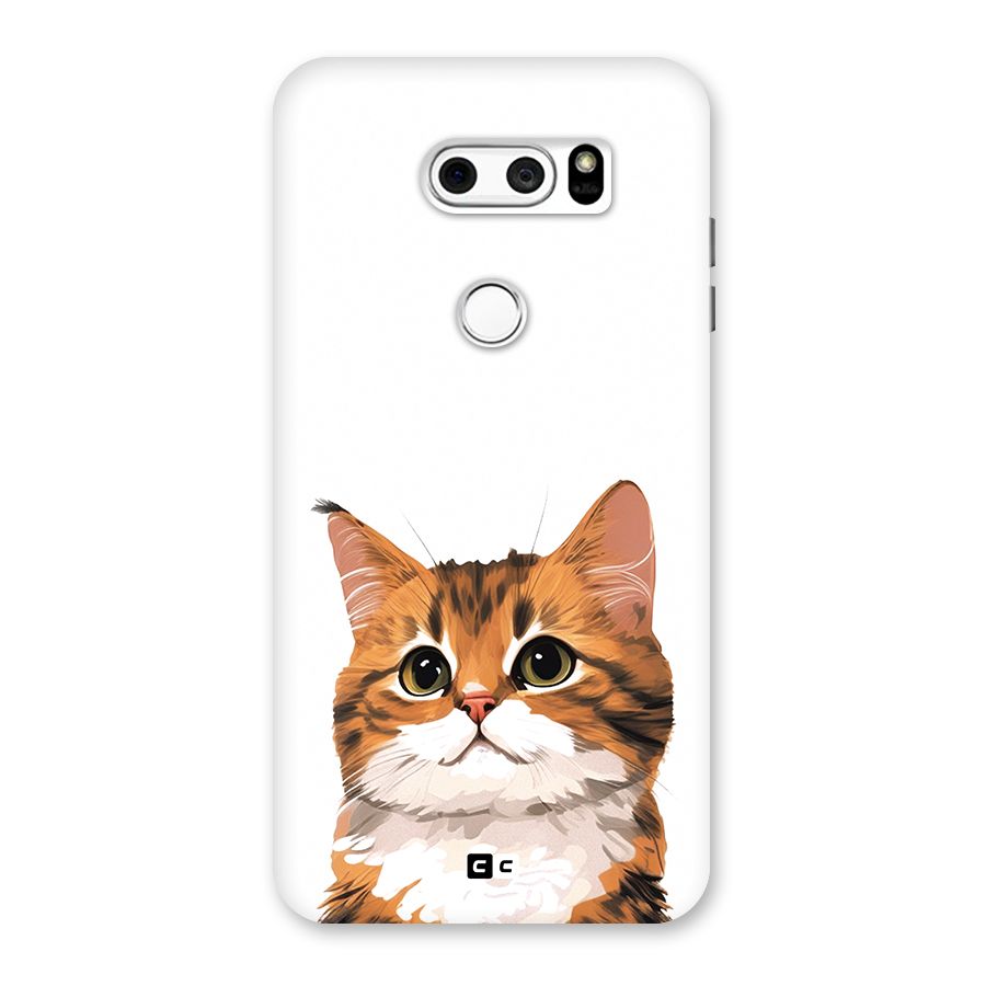 The Cute Cat Back Case for LG V30
