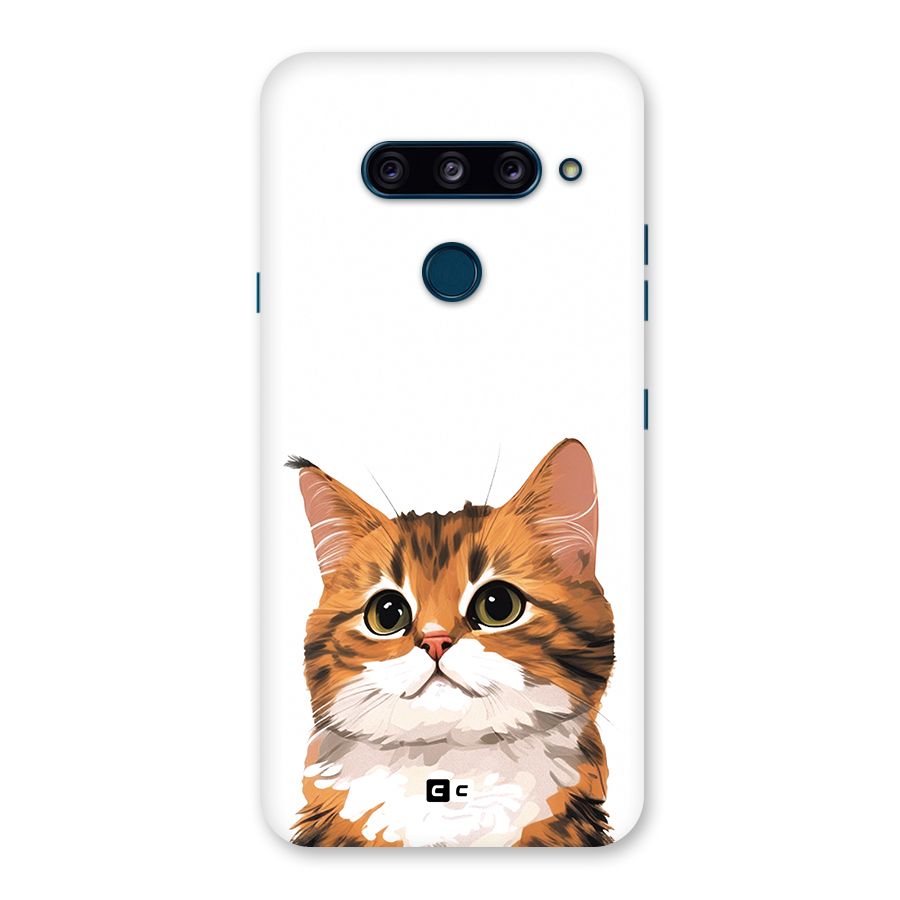 The Cute Cat Back Case for LG  V40 ThinQ