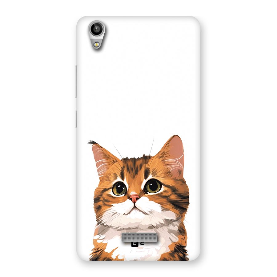 The Cute Cat Back Case for Lava Pixel V1