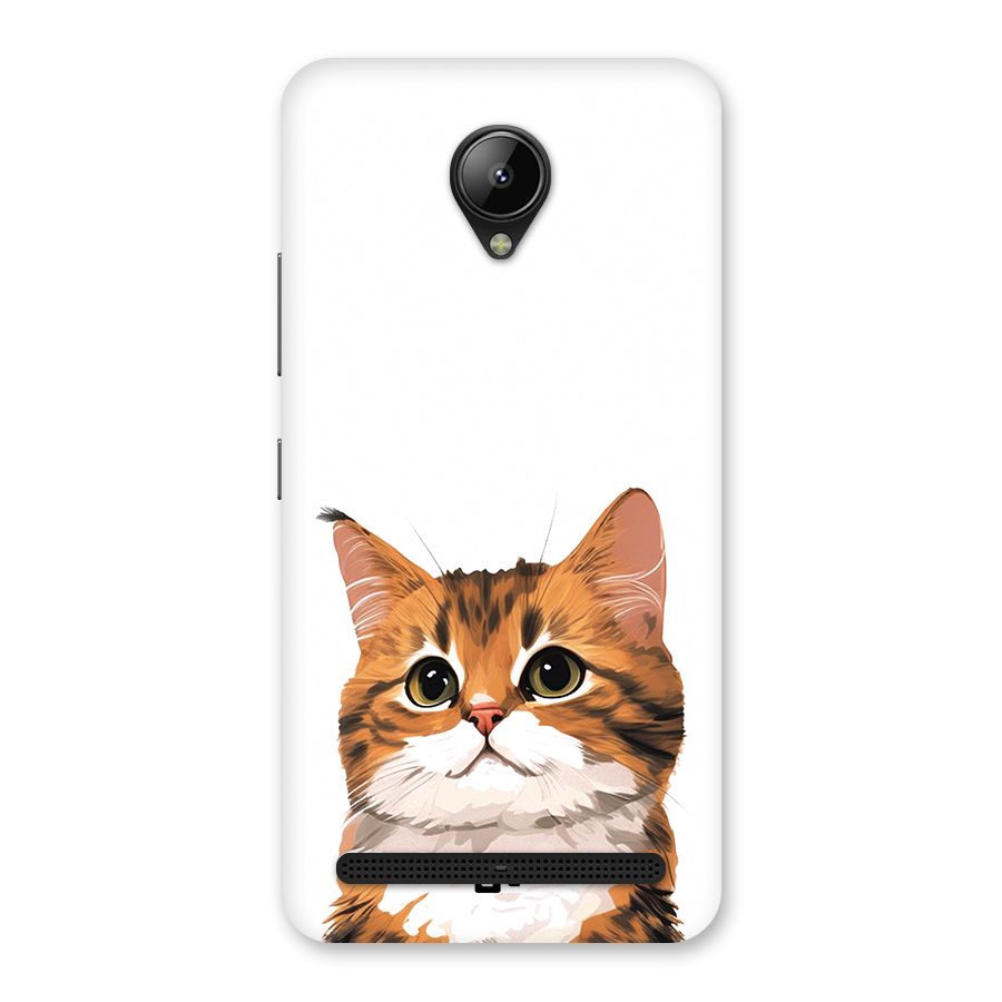 The Cute Cat Back Case for Lenovo C2