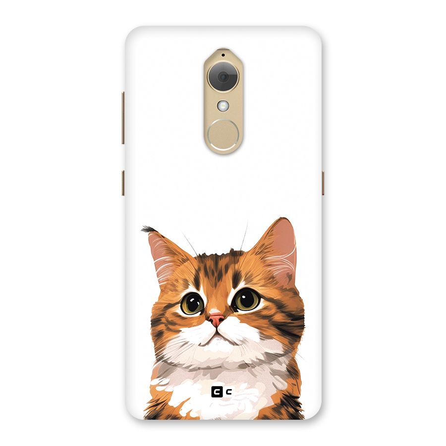 The Cute Cat Back Case for Lenovo K8