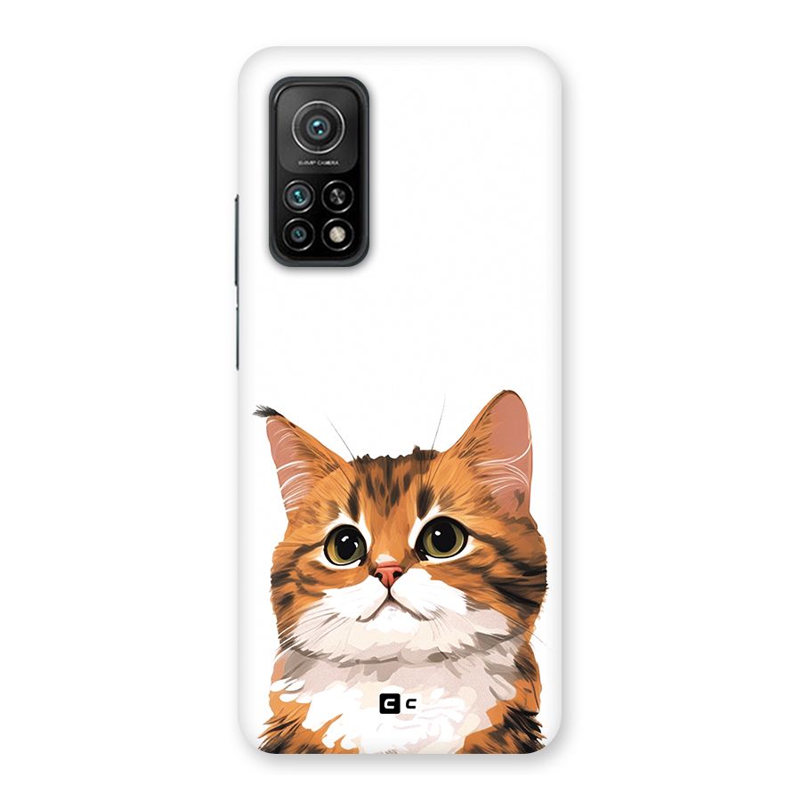 The Cute Cat Back Case for Mi 10T 5G