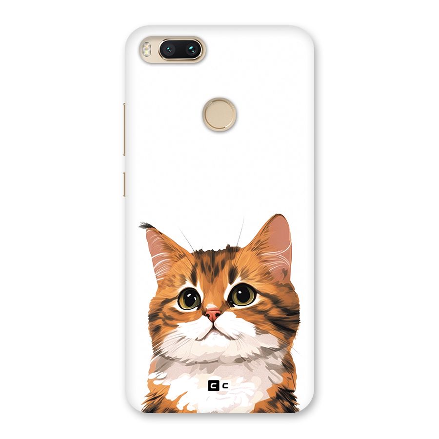 The Cute Cat Back Case for Mi A1