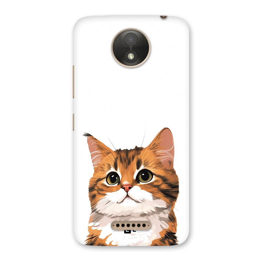 The Cute Cat Back Case for Moto C Plus