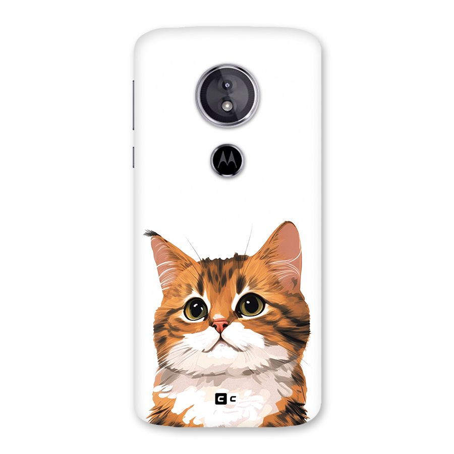 The Cute Cat Back Case for Moto E5