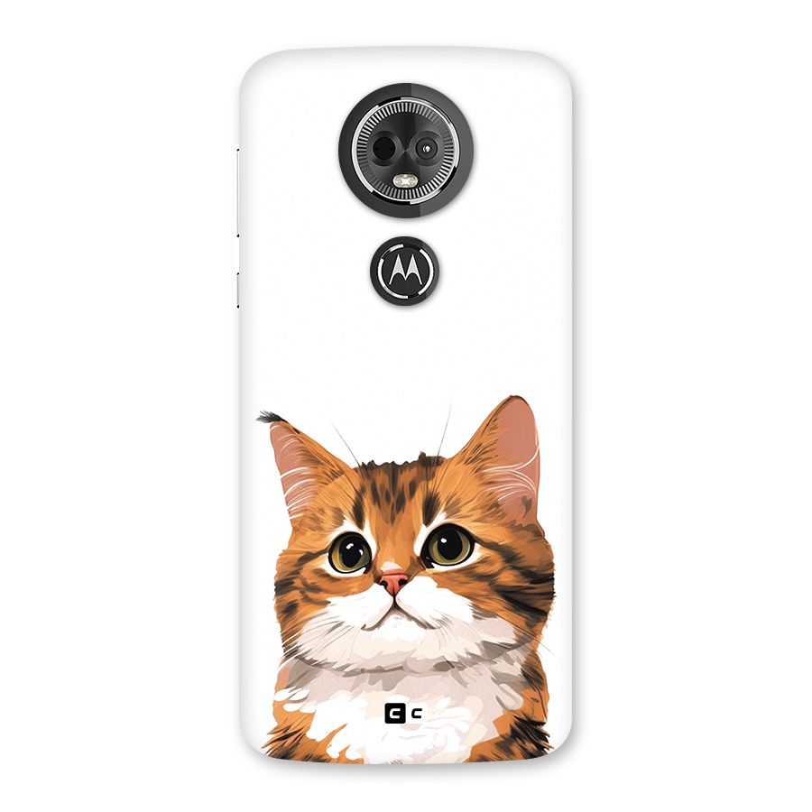 The Cute Cat Back Case for Moto E5 Plus