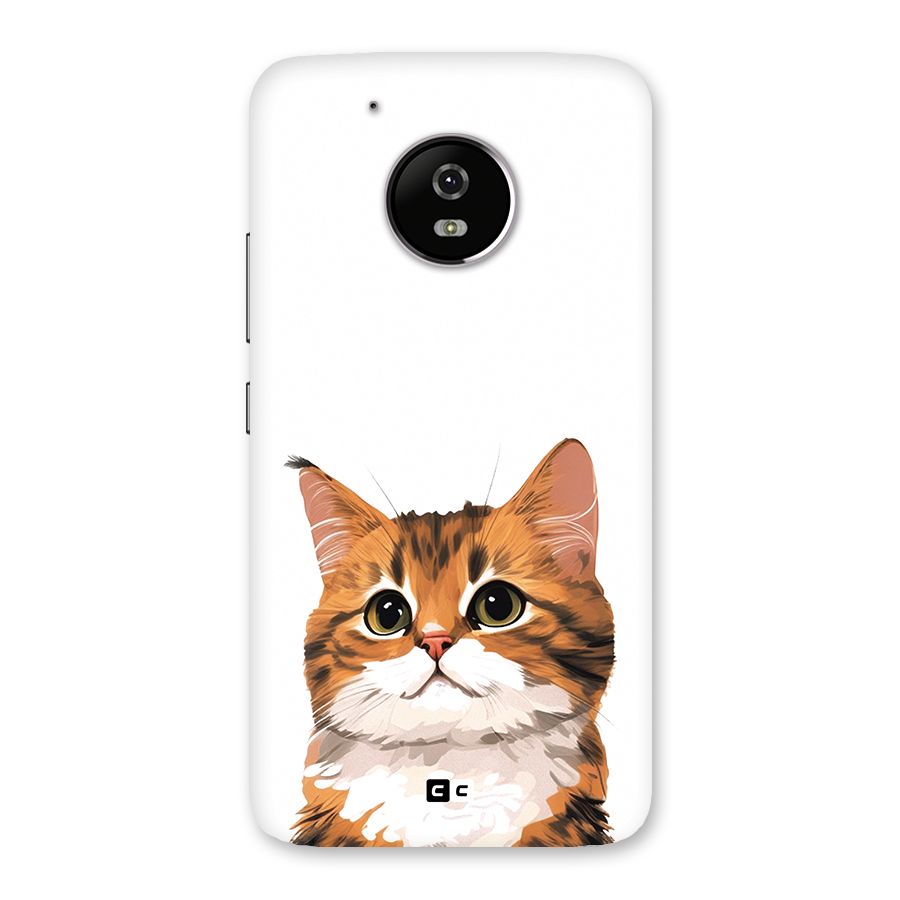 The Cute Cat Back Case for Moto G5