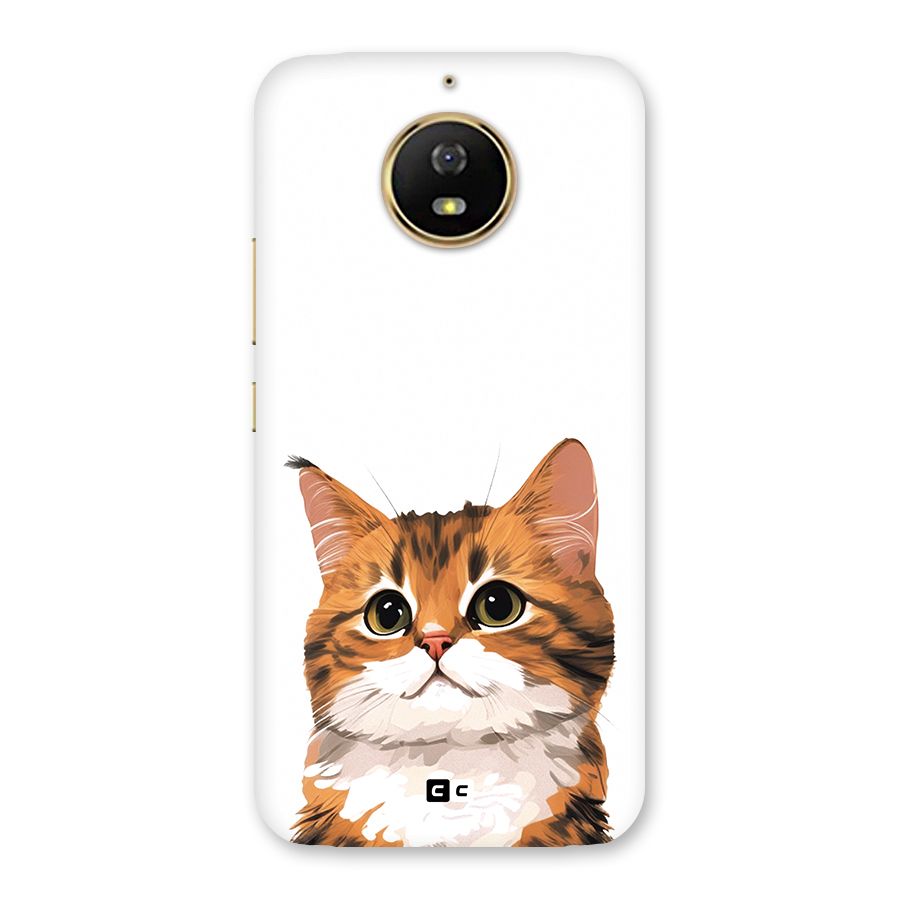 The Cute Cat Back Case for Moto G5s