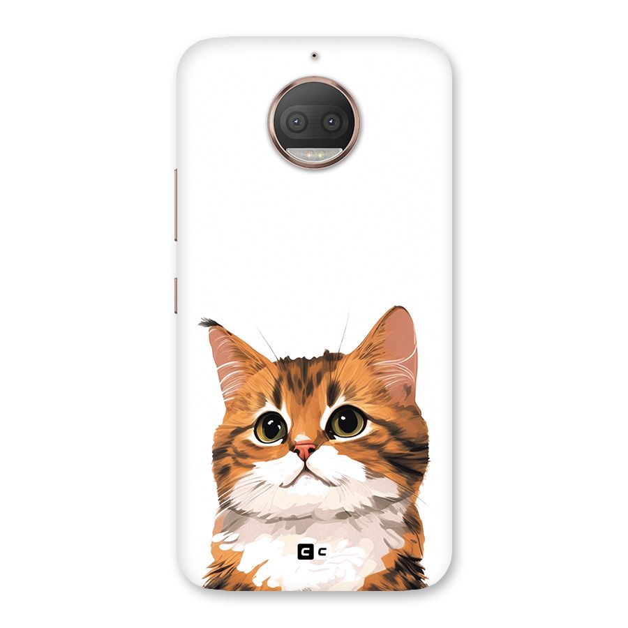 The Cute Cat Back Case for Moto G5s Plus