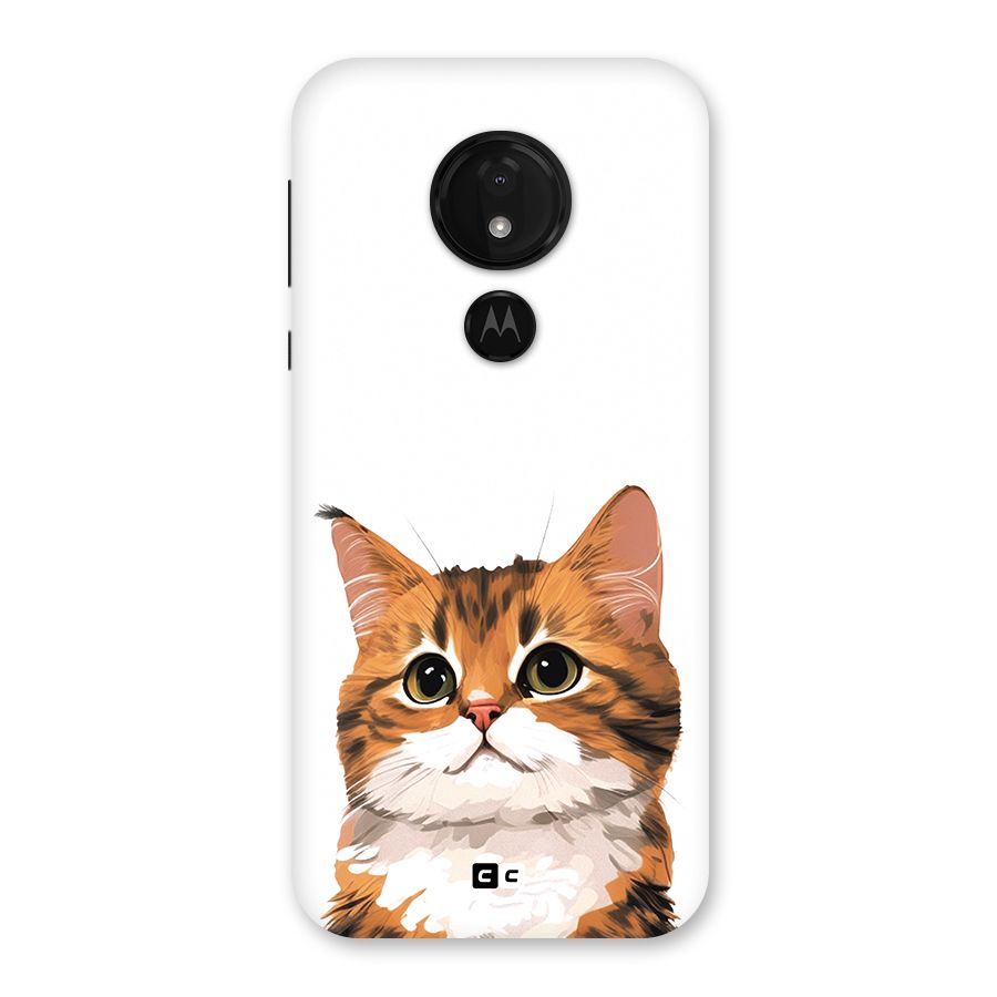 The Cute Cat Back Case for Moto G7 Power