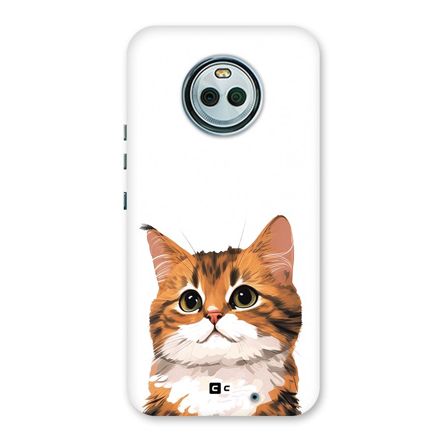The Cute Cat Back Case for Moto X4