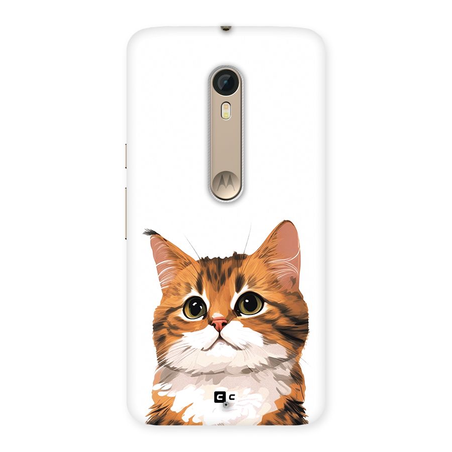 The Cute Cat Back Case for Moto X Style