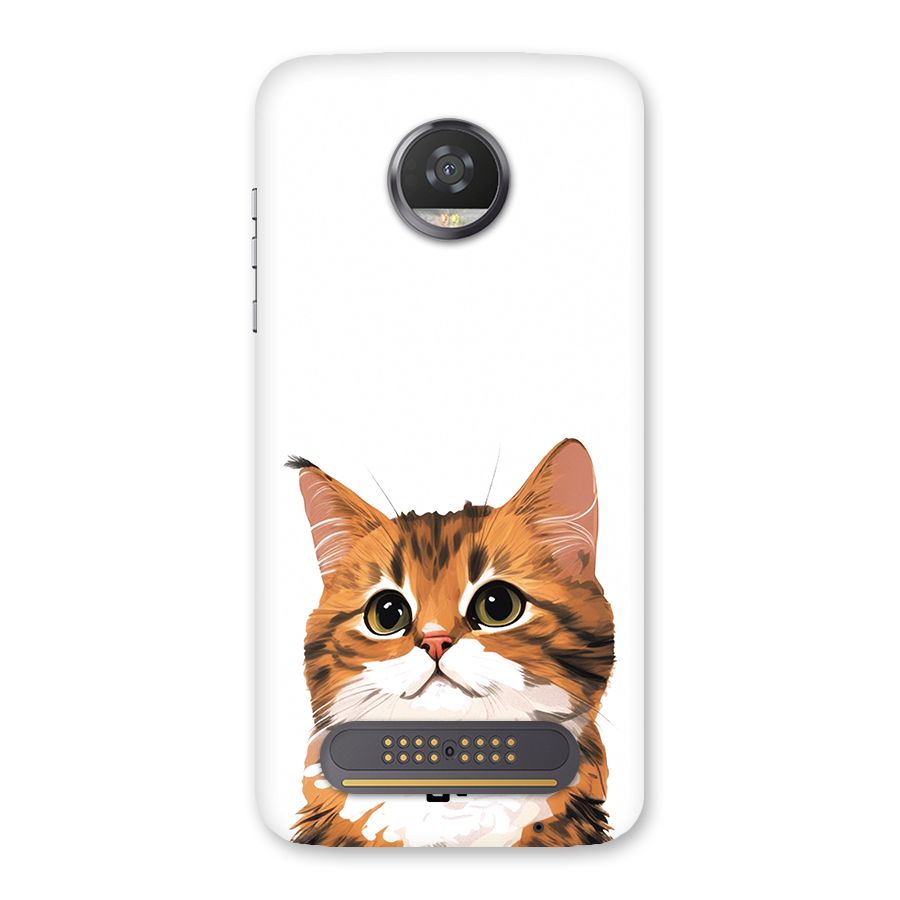 The Cute Cat Back Case for Moto Z2 Play