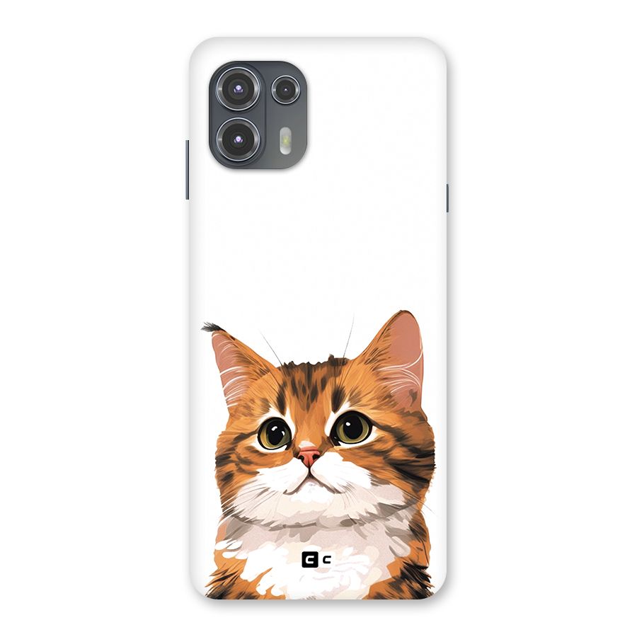 The Cute Cat Back Case for Motorola Edge 20 Fusion