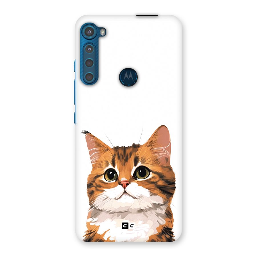 The Cute Cat Back Case for Motorola One Fusion Plus