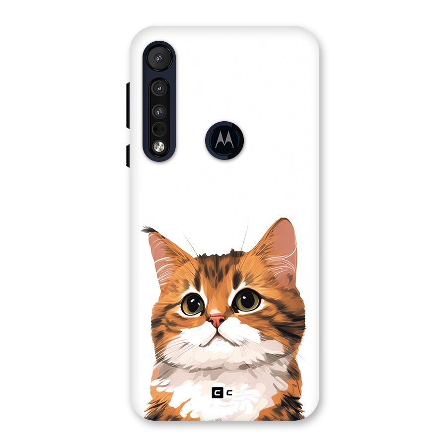 The Cute Cat Back Case for Motorola One Macro