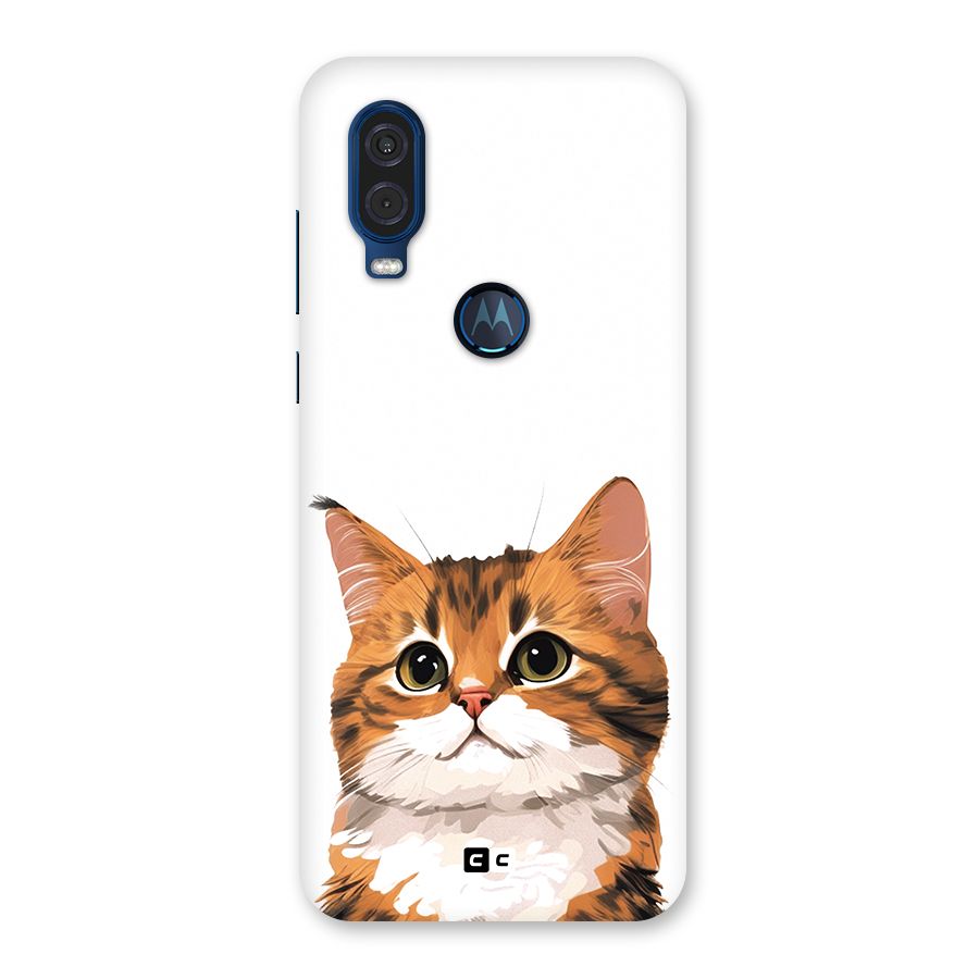 The Cute Cat Back Case for Motorola One Vision