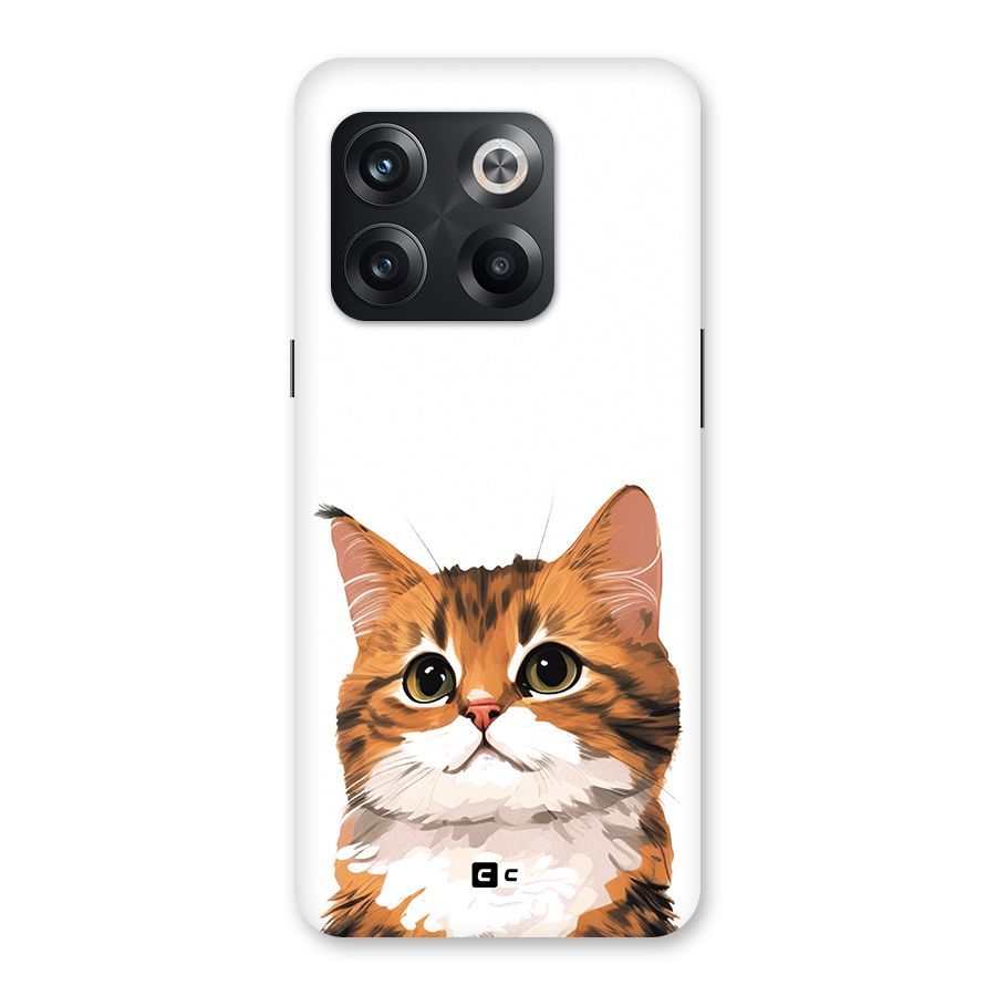 The Cute Cat Back Case for OnePlus 10T