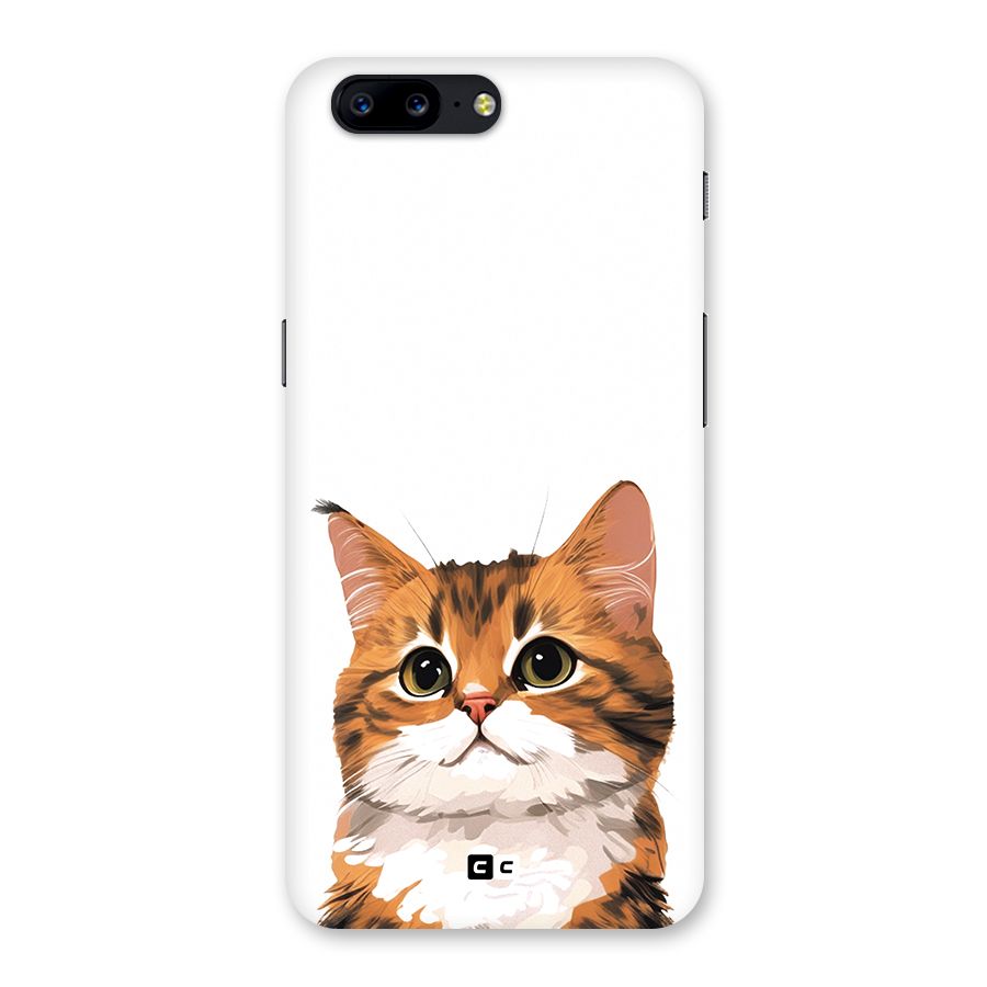 The Cute Cat Back Case for OnePlus 5