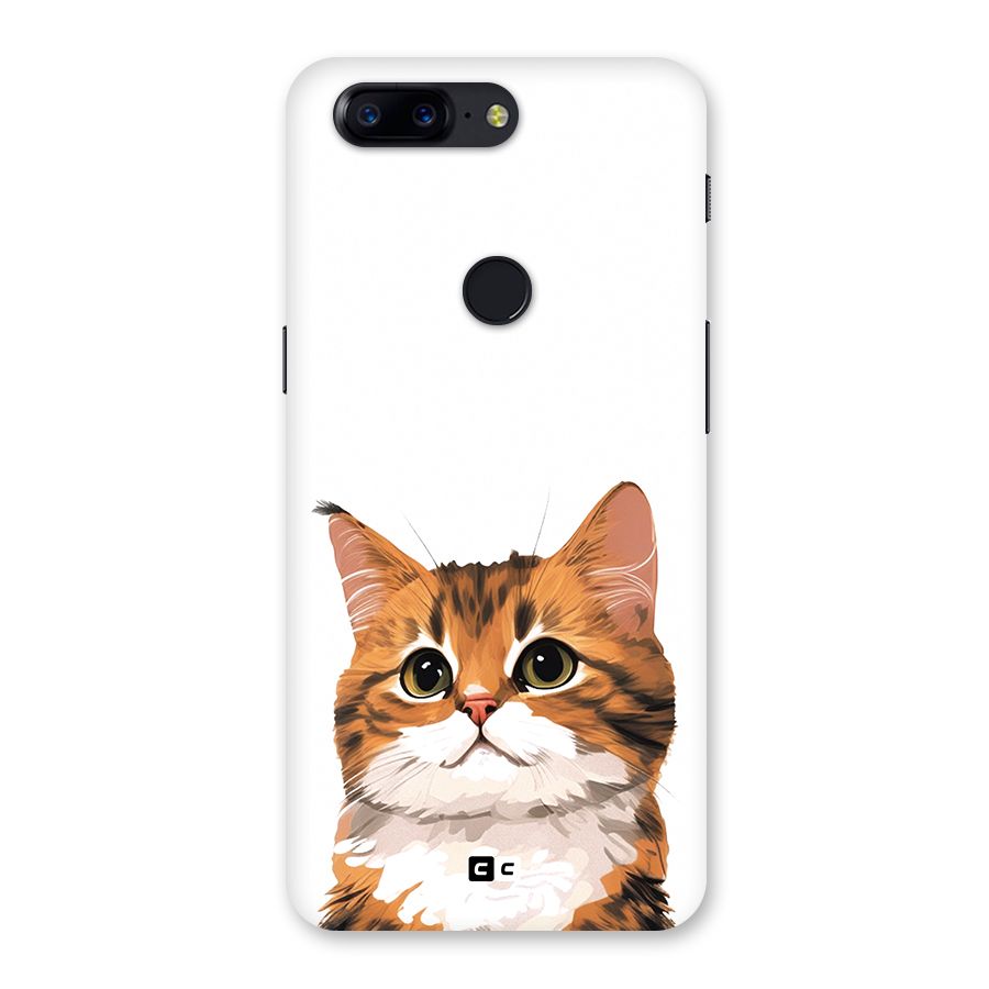 The Cute Cat Back Case for OnePlus 5T