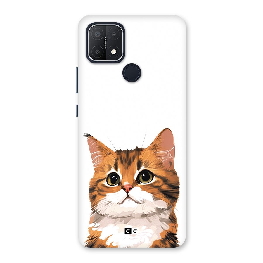 The Cute Cat Back Case for Oppo A15