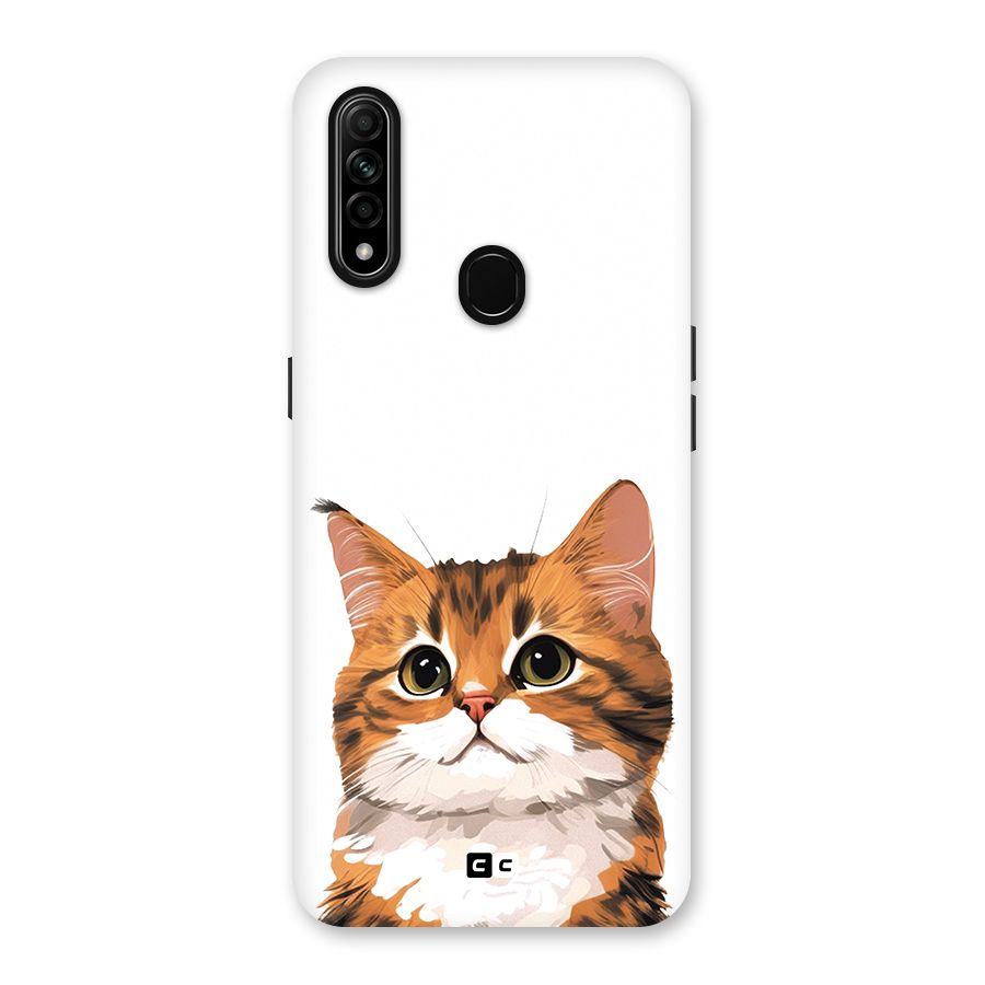 The Cute Cat Back Case for Oppo A31