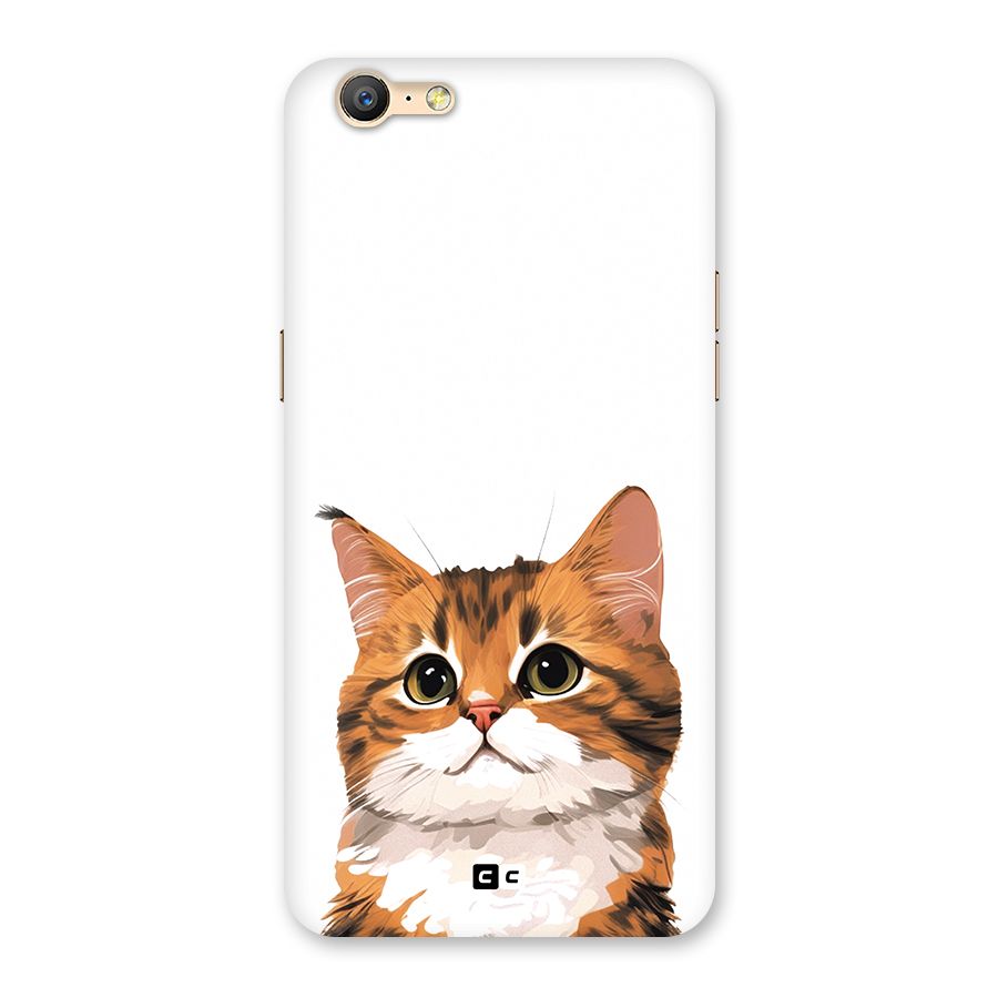 The Cute Cat Back Case for Oppo A39