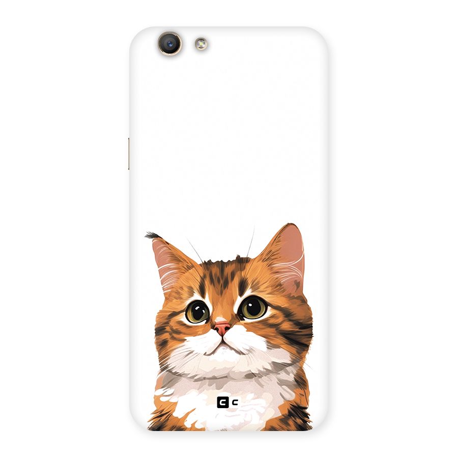The Cute Cat Back Case for Oppo A59