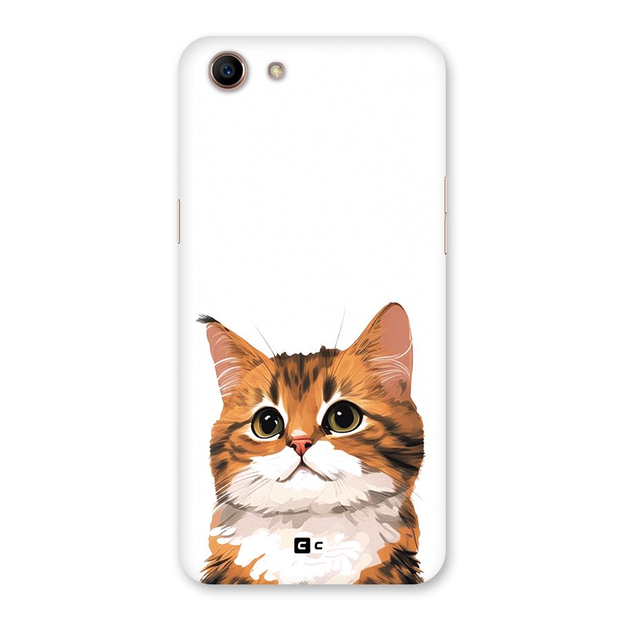 The Cute Cat Back Case for Oppo A83 (2018)