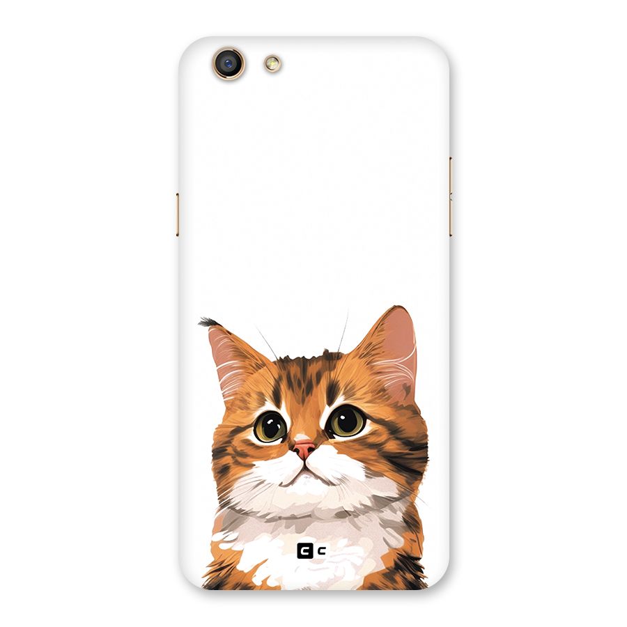 The Cute Cat Back Case for Oppo F3
