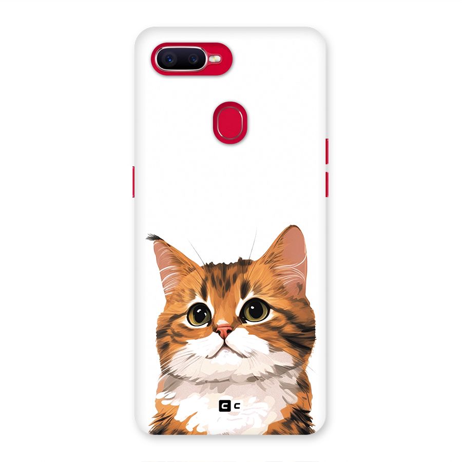 The Cute Cat Back Case for Oppo F9 Pro