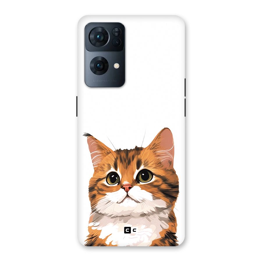 The Cute Cat Back Case for Oppo Reno7 Pro 5G