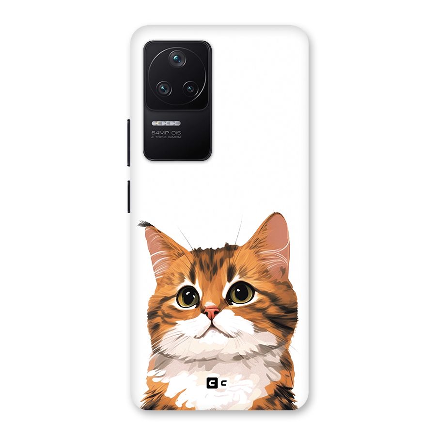 The Cute Cat Back Case for Poco F4 5G