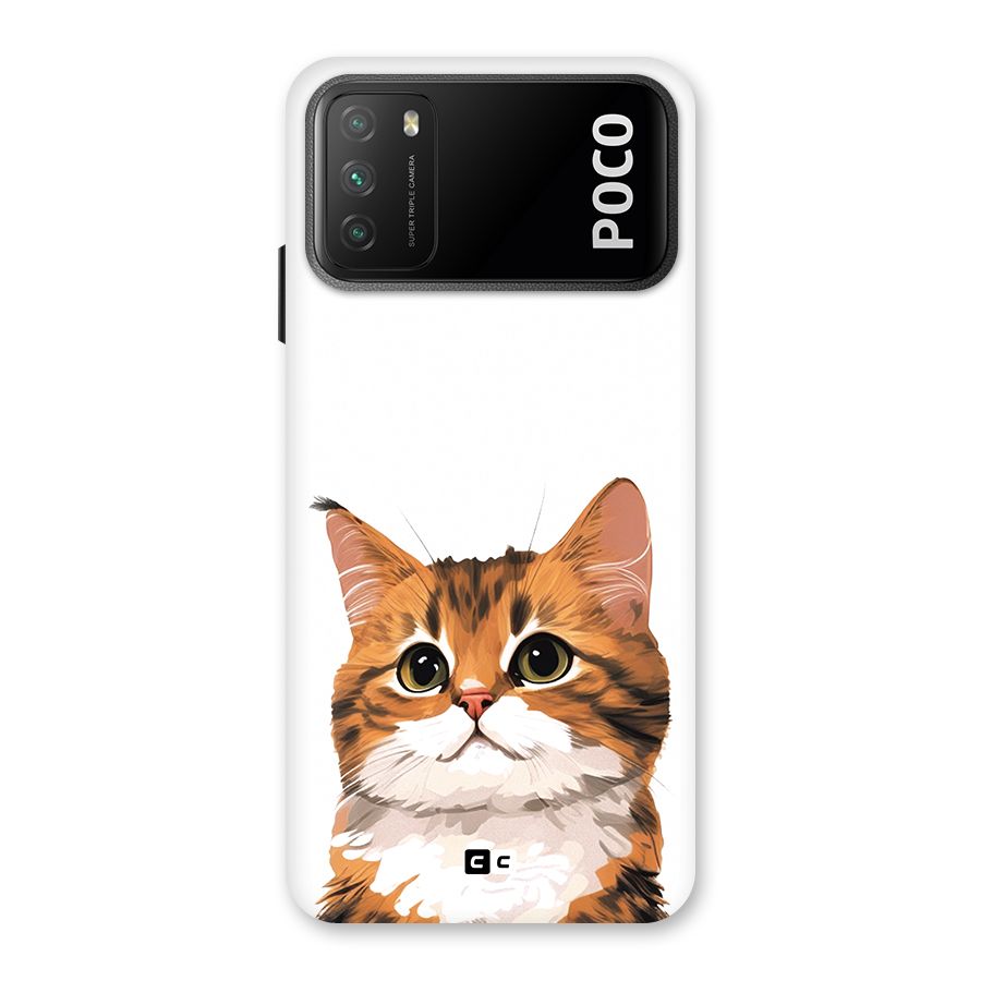 The Cute Cat Back Case for Poco M3
